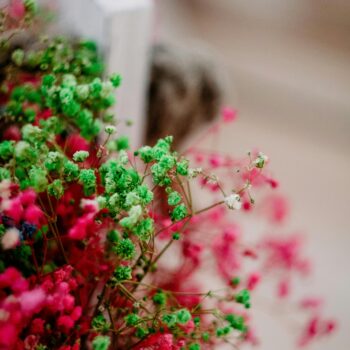 Ikebana Floral Arranging