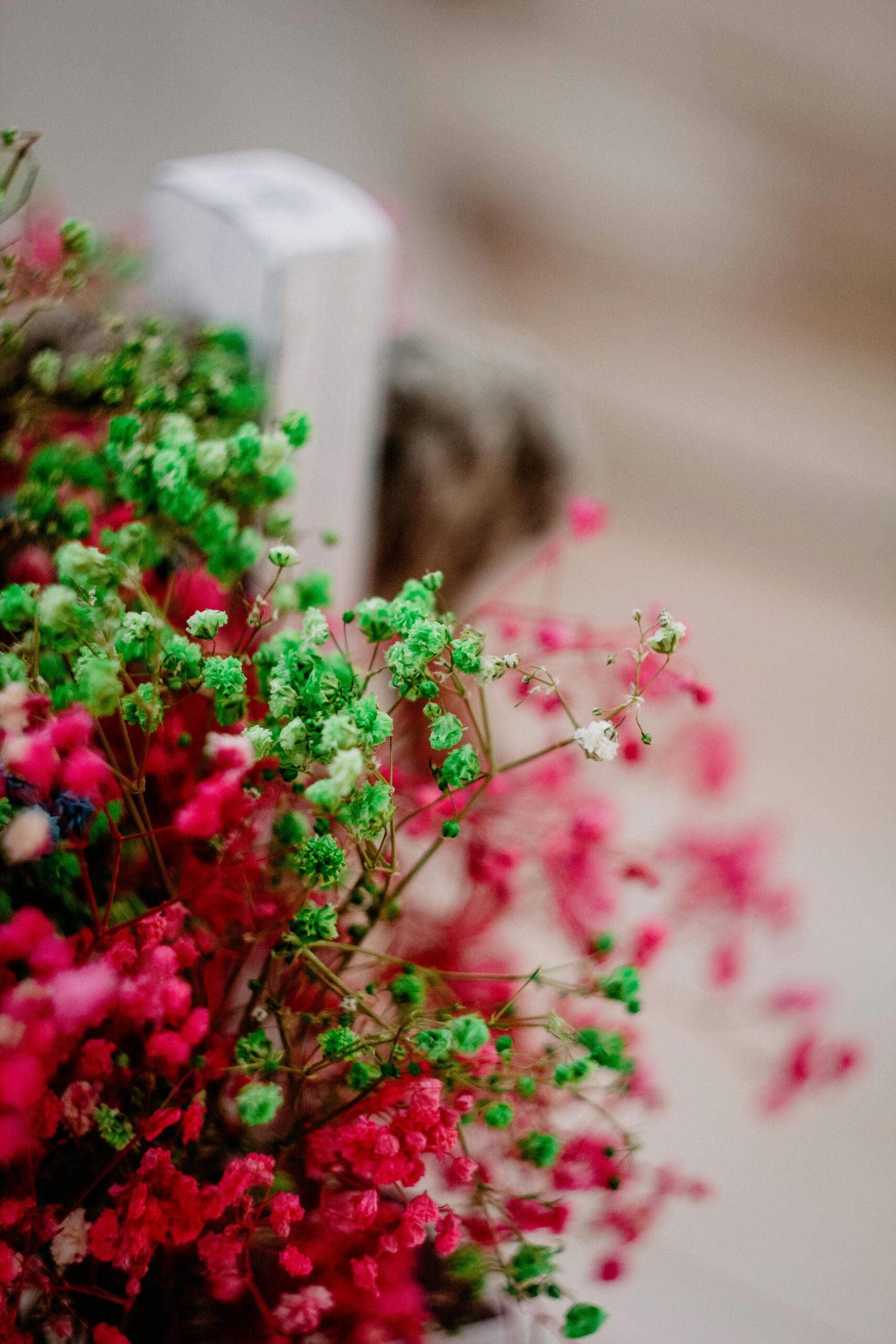 pexels-karinarud-15625563